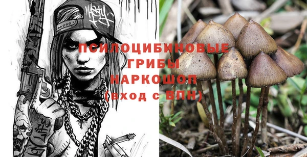 альфа пвп Краснослободск