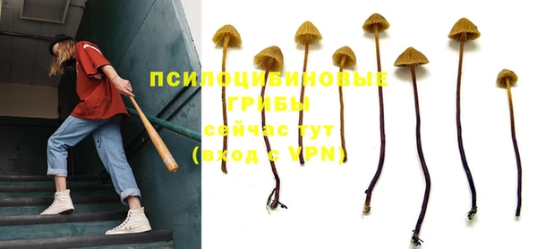 прущие грибы Куйбышев