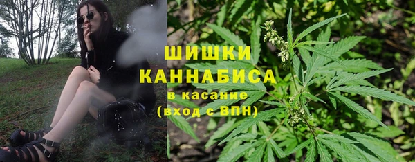 прущие грибы Куйбышев