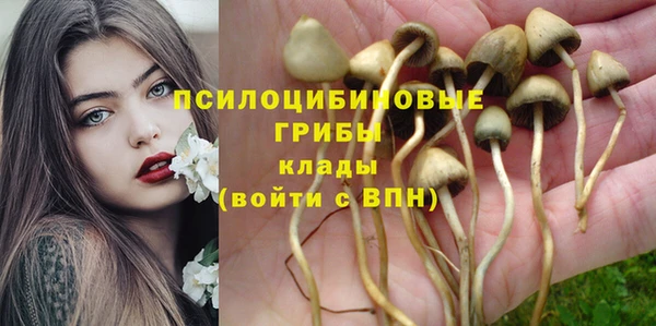 скорость Краснотурьинск