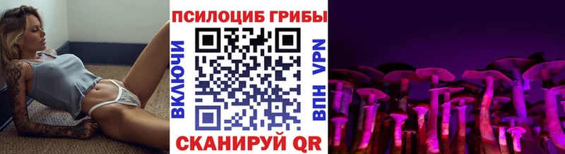 Псилоцибиновые грибы Psilocybine cubensis  закладка  Велиж 
